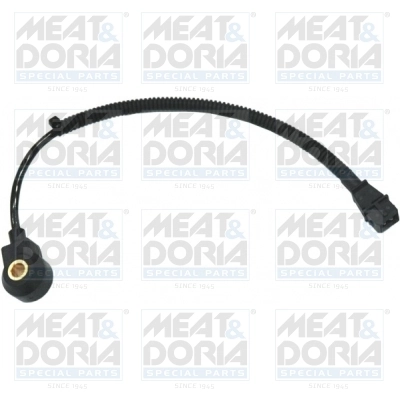 Knock Sensor